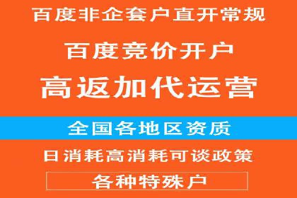 百度品牌专区推广的成效与案例